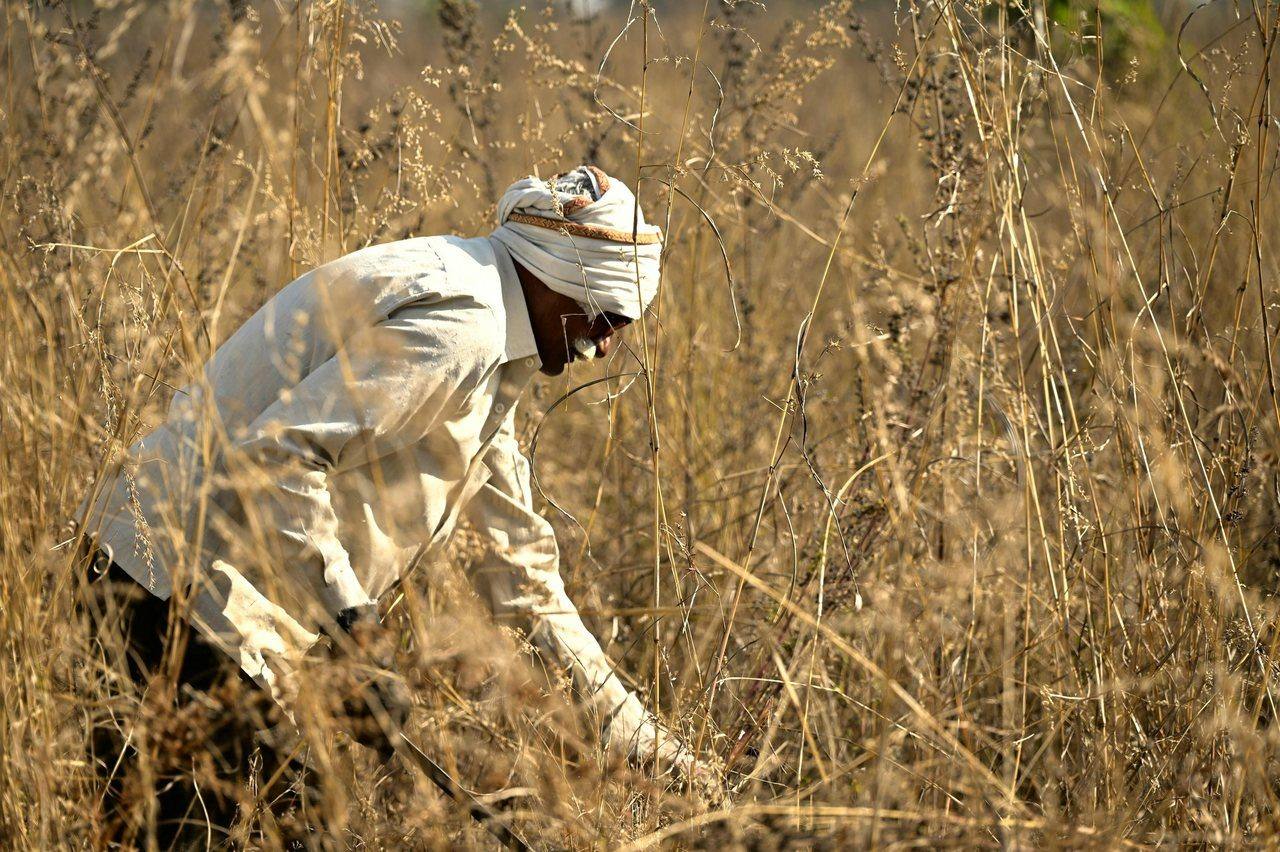 Farmer working in a dry grassland field